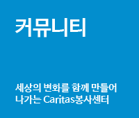 봉사활동 신청, 세상의 변화를 함께 만들어가는 caritas